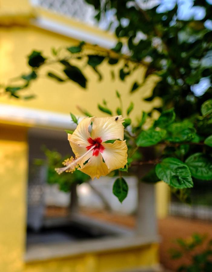 Parul - Elegant Heritage Home At The Heart Of Shantiniketan Екстер'єр фото